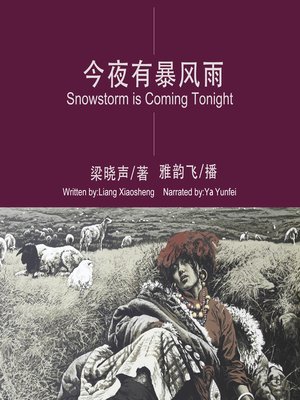 cover image of 今夜有暴风雪